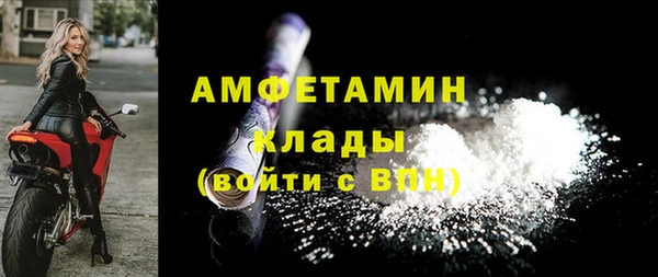 индика Абаза