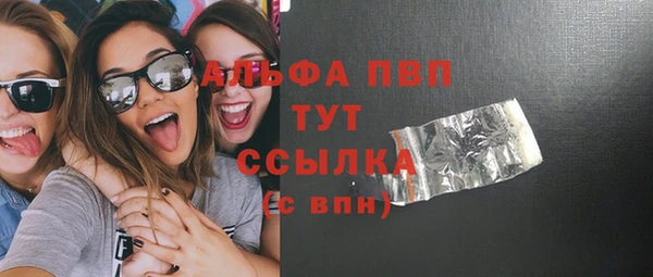 индика Абаза