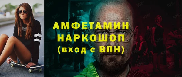 индика Абаза