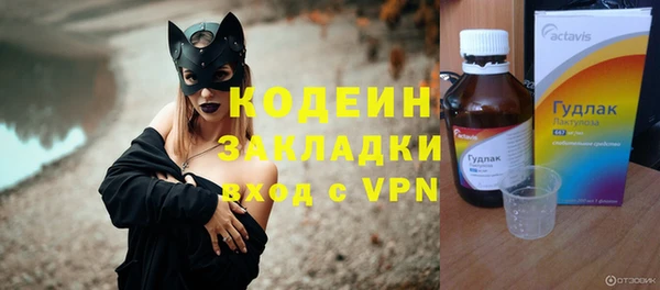 индика Абаза