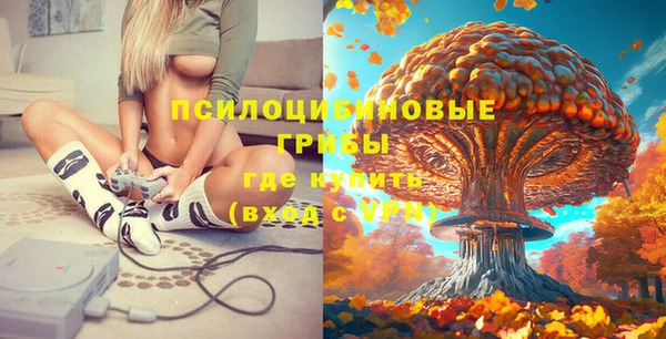 крисы Абинск