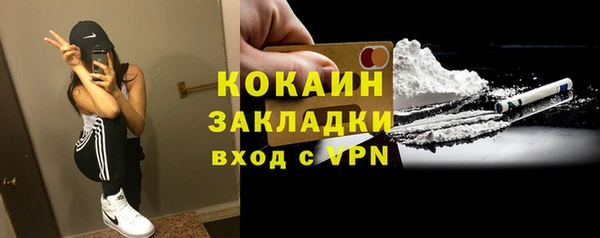 индика Абаза