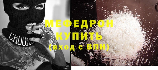 индика Абаза