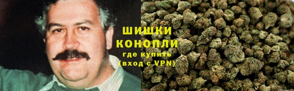 индика Абаза